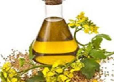 کالریهای موجود در روغن کانولا