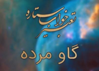 تعبیر خواب گاو مرده ، تماشا گاو مرده در خواب چه تعبیری دارد؟